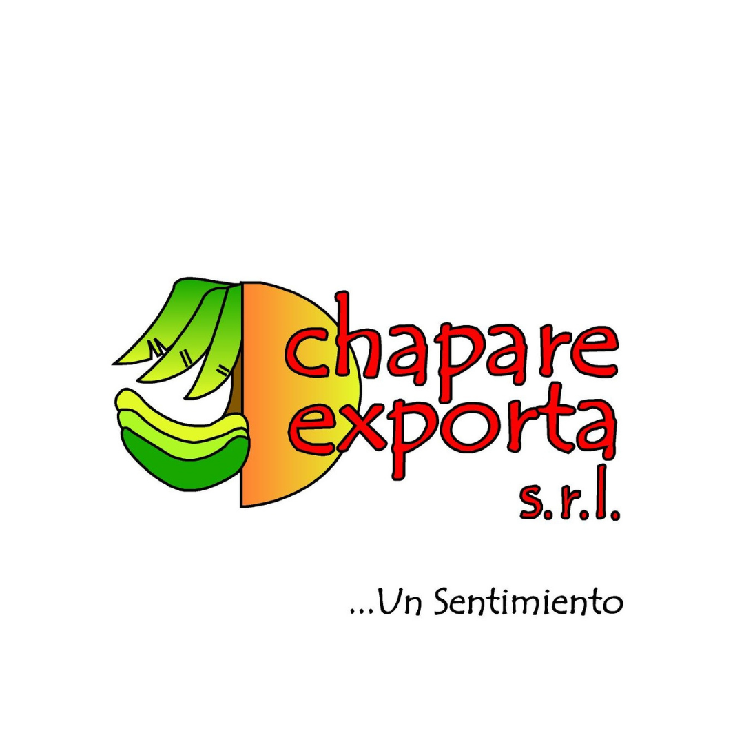 Untitled design - 2025-09-01T120027.863